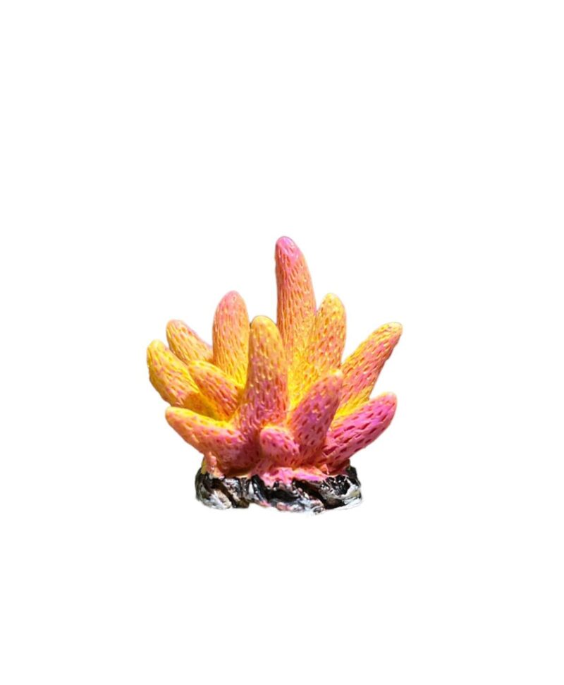 Mini coral naranja
