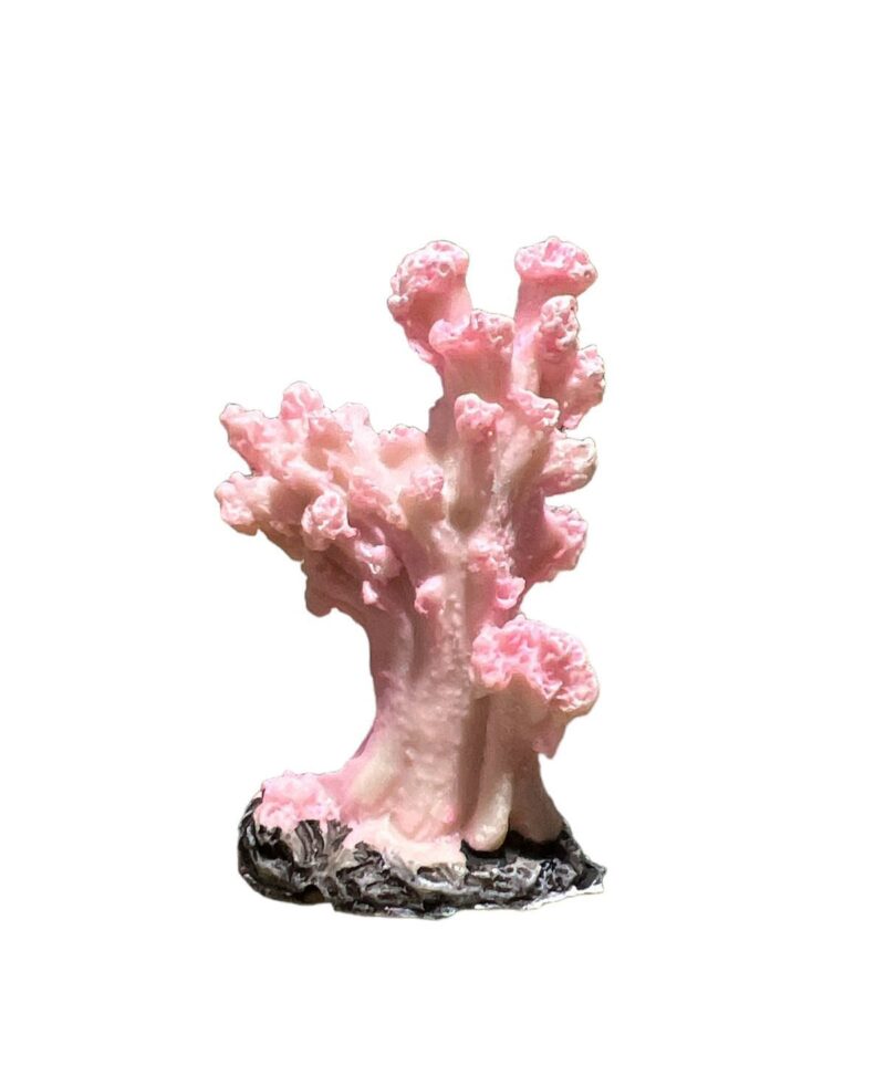 Mini coral rosado