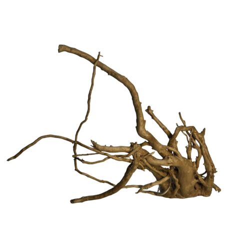 Raíz Red Moor Wood XS