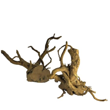 Raíz Red Moor Wood L