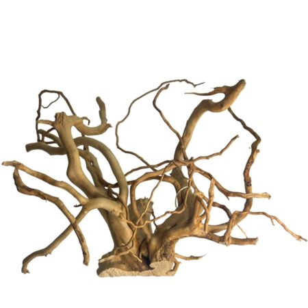 Raíz Red Moor Wood XXL