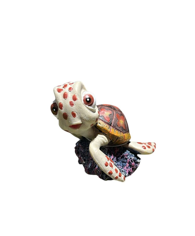 Tortuga nemo  MARTPET