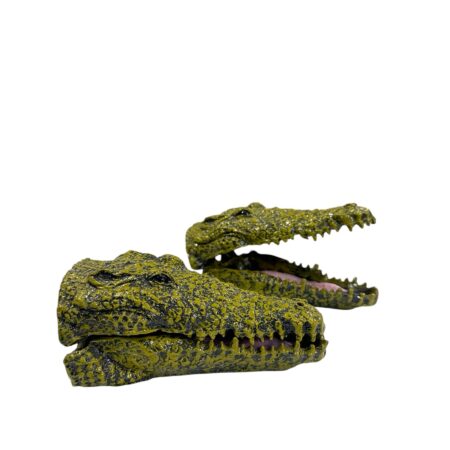 Adorno Cabeza Cocodrilo Silvestre