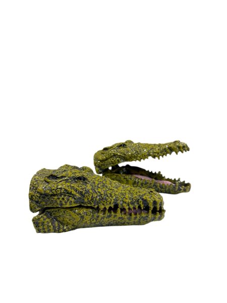 Adorno Cabeza Cocodrilo Silvestre