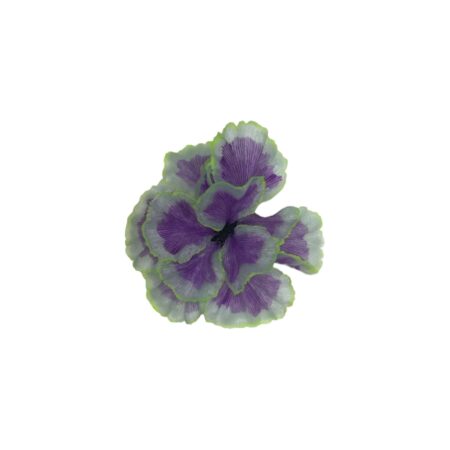 Coral Membrana Morado Néon