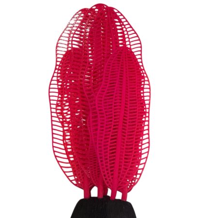 Alga Marina Rosada Neón