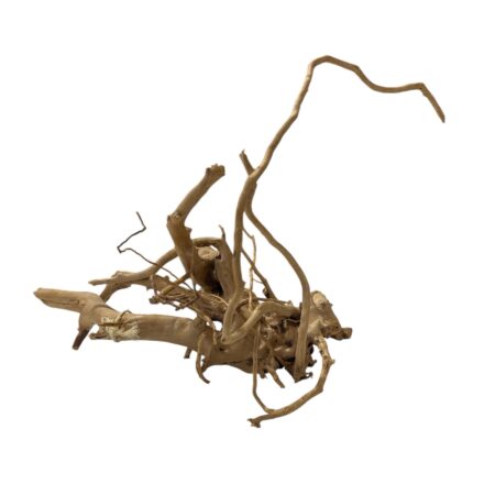 Raíz Red Moor Wood M