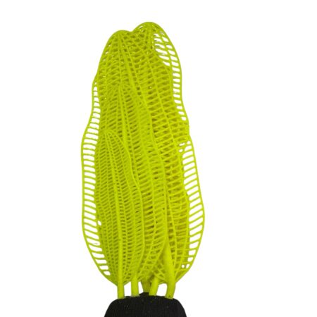 Alga Marina Verde  Neón