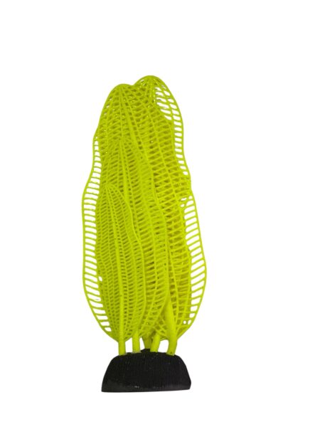 Alga Marina Verde  Neón