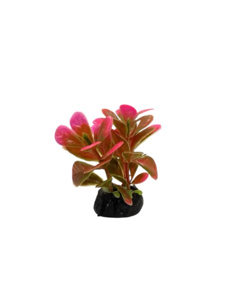 Plantas Artificiales XS