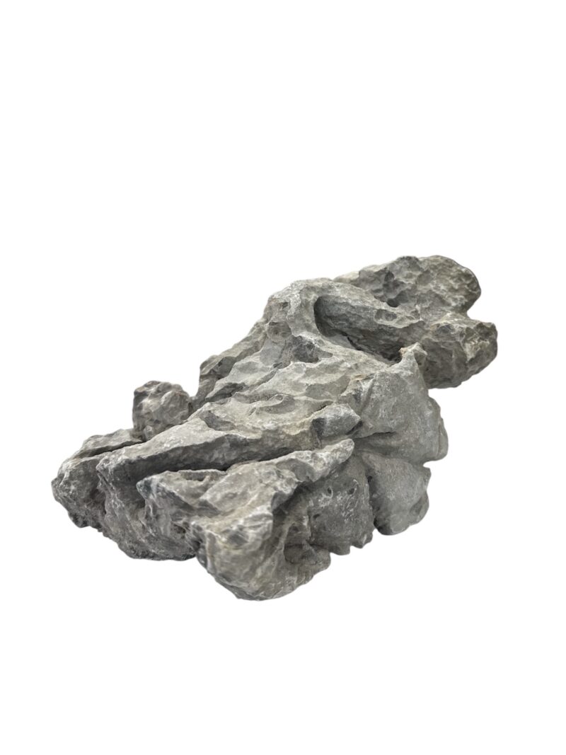 Roca Seiryu