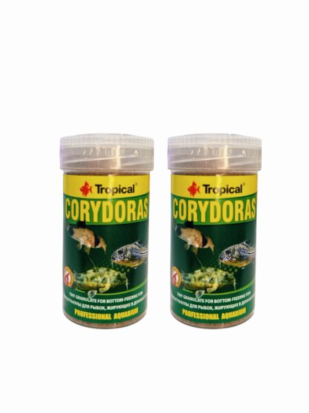 Corydoras Tropical