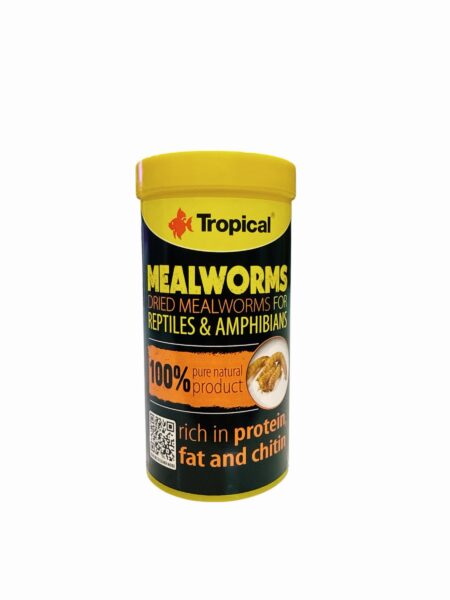 Mealworms Tropical