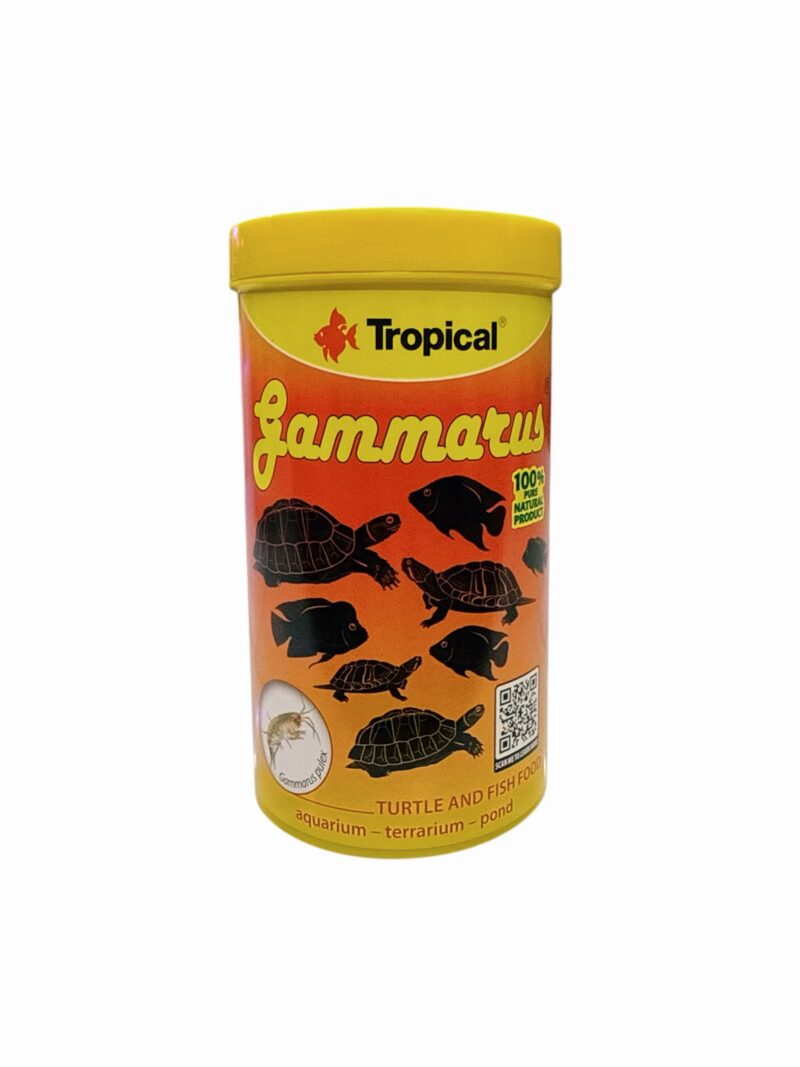Gammarus Tropical