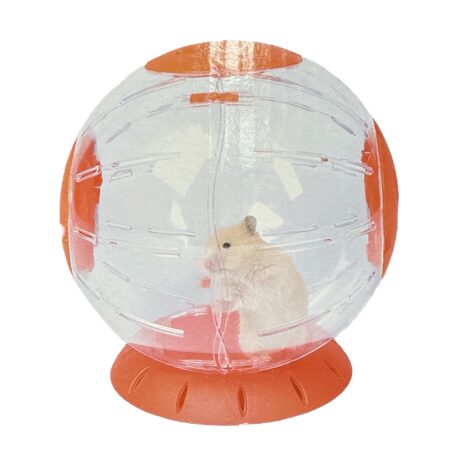 Bola de Cristal Con Luces