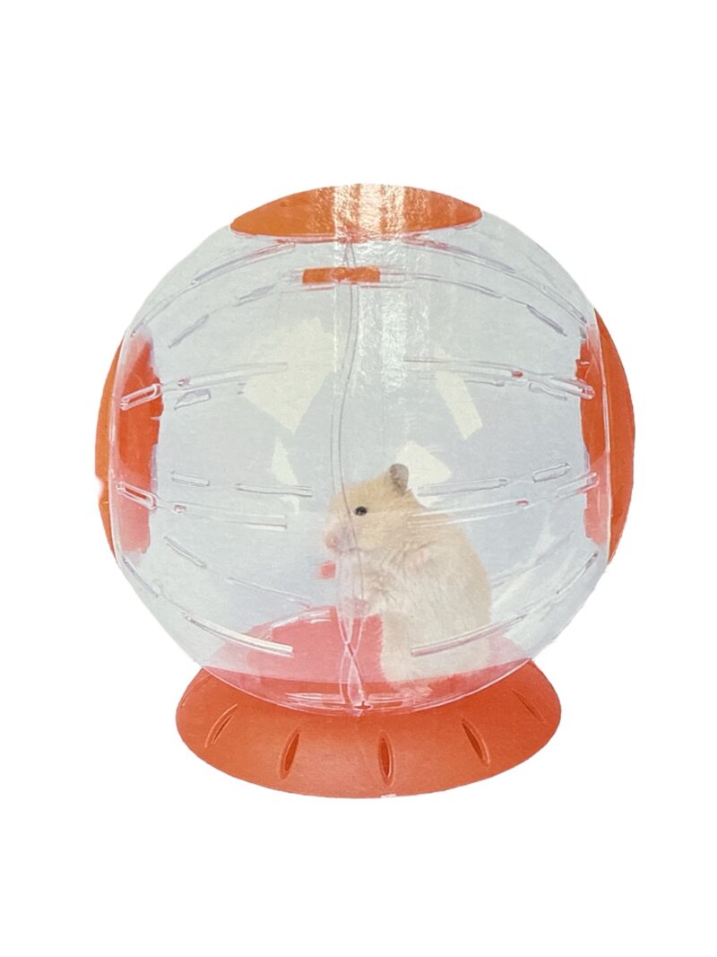 Bola de Cristal Con Luces