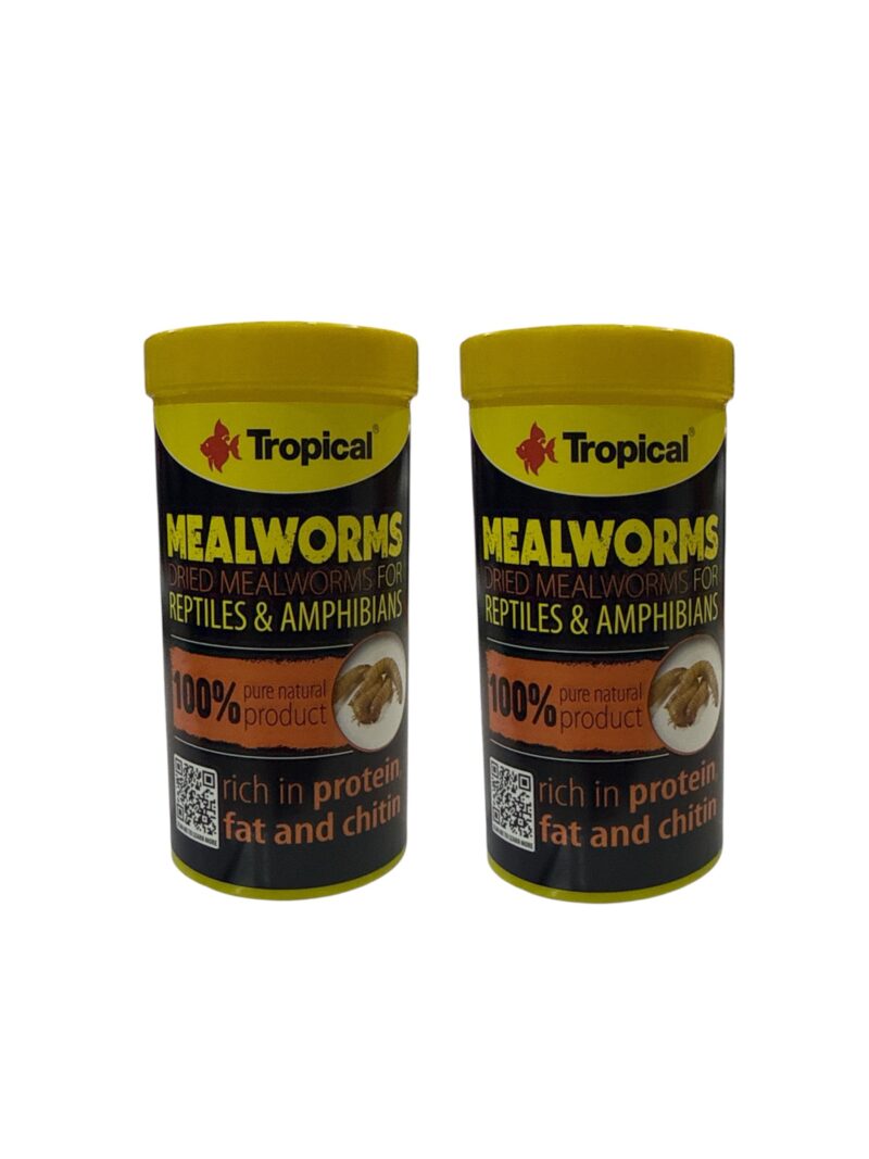Mealworms