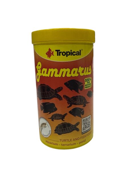 Gammarus