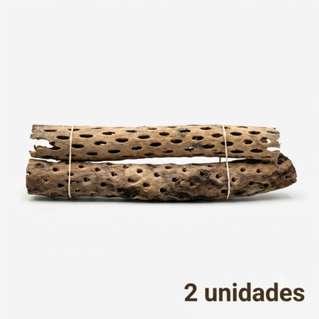 Madera de Cholla talla M