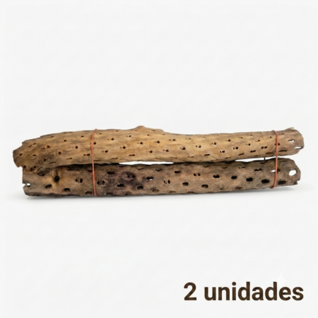 Madera de Cholla talla XXL