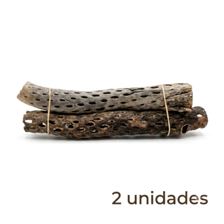 Madera de Cholla talla S