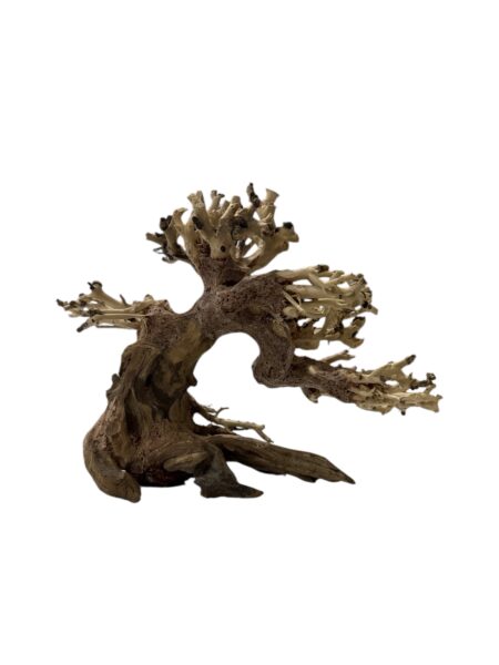 Tronco Bonsai Wood S