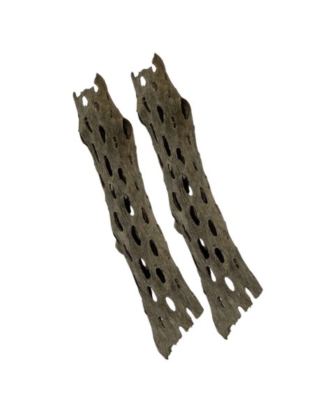 Madera de Cholla talla M
