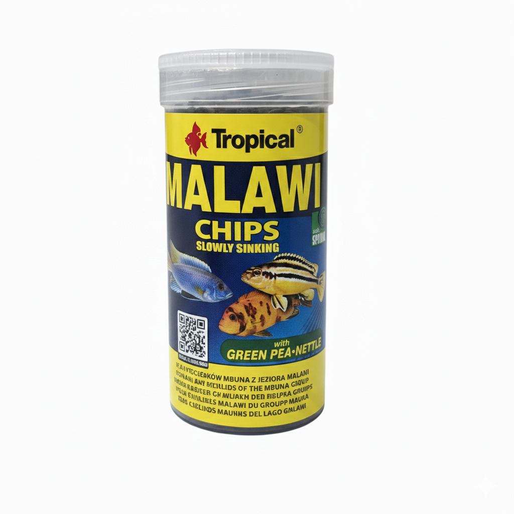 Malawi Chips Tropical Cíclidos Africanos