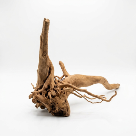 Raíz Red Moor Wood S