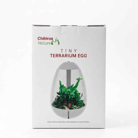 Terrario Tiny Chihiros Egg