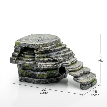Plataforma Piedra Tortugas Con Filtración