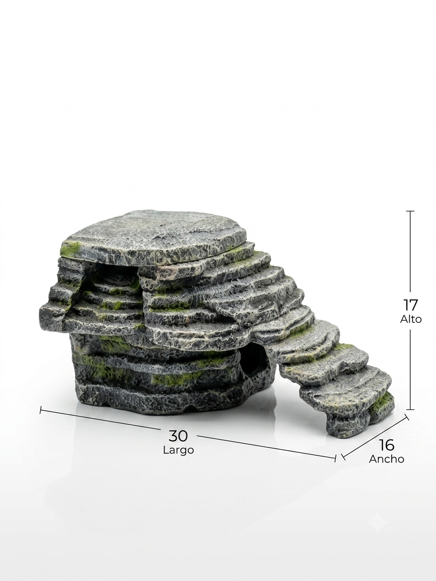 Plataforma Piedra Tortugas Con Filtración